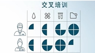 如何进行交叉培训