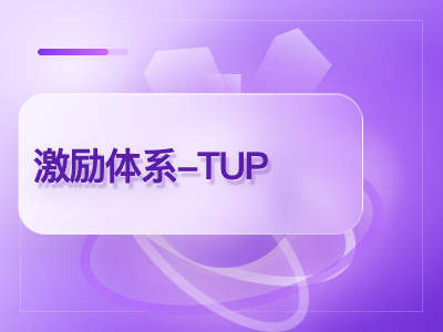 华为激励体系-TUP