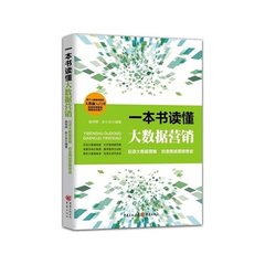 一本书读懂大数据营销
