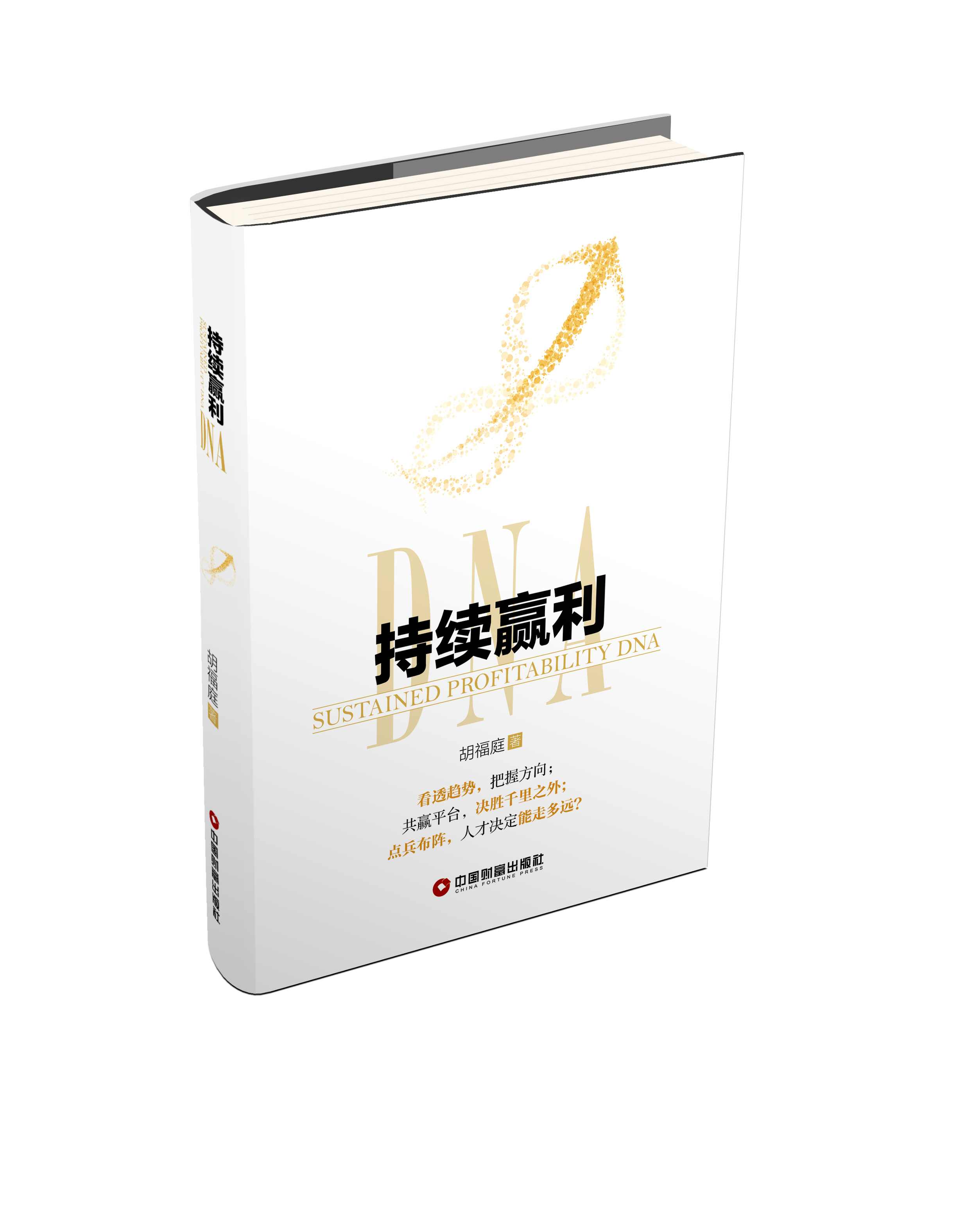 《持续赢利DNA》
