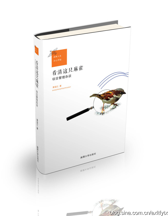 看清这只麻雀——项目管理杂谈