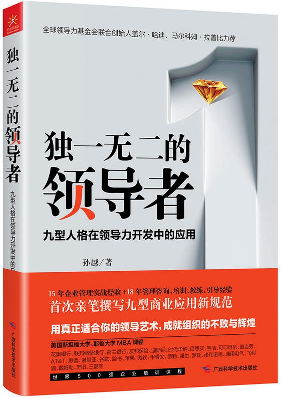《独一无二的领导者-九型人格在领导力开发中的应用》