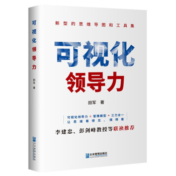 《可视化领导力》