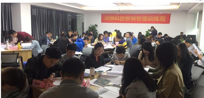 顾问式项目运作与团队管理