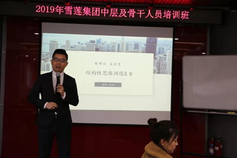 雪莲集团授课案例-结构性思维