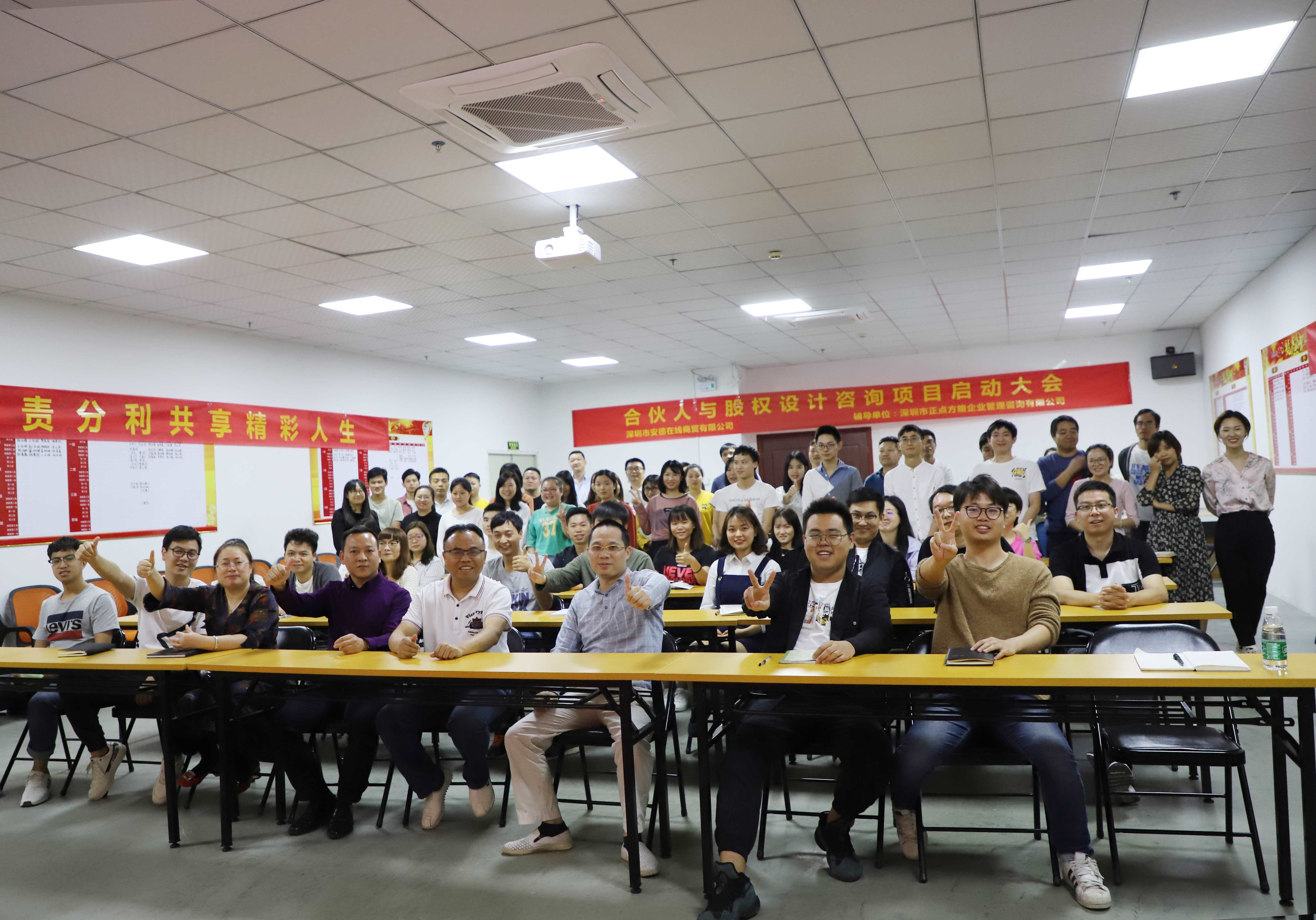 合伙人与股权设计咨询案例