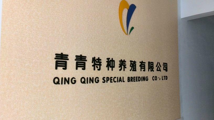 河北辛集青青特种养殖有限公司《团队协作与执行力》