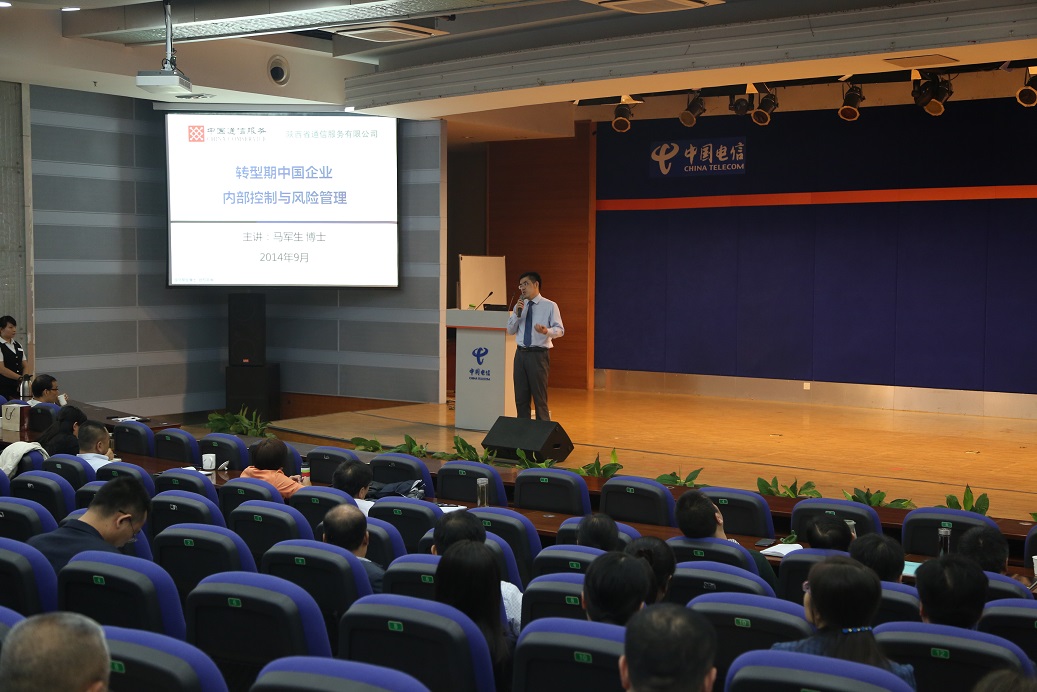 中国通信服务陕西通信服务公司（中国电信集团下属）《企业内部控制与风险管理》