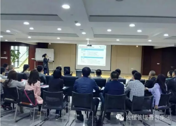 上海某钢铁集团《战略规划与集团管控咨询项目》