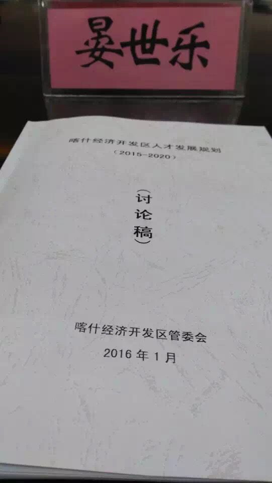 新疆喀什经济开发区人才发展规划专家评审会《演讲口才》