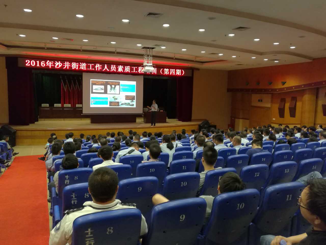 深圳市宝安区沙井街道办《职业道德》