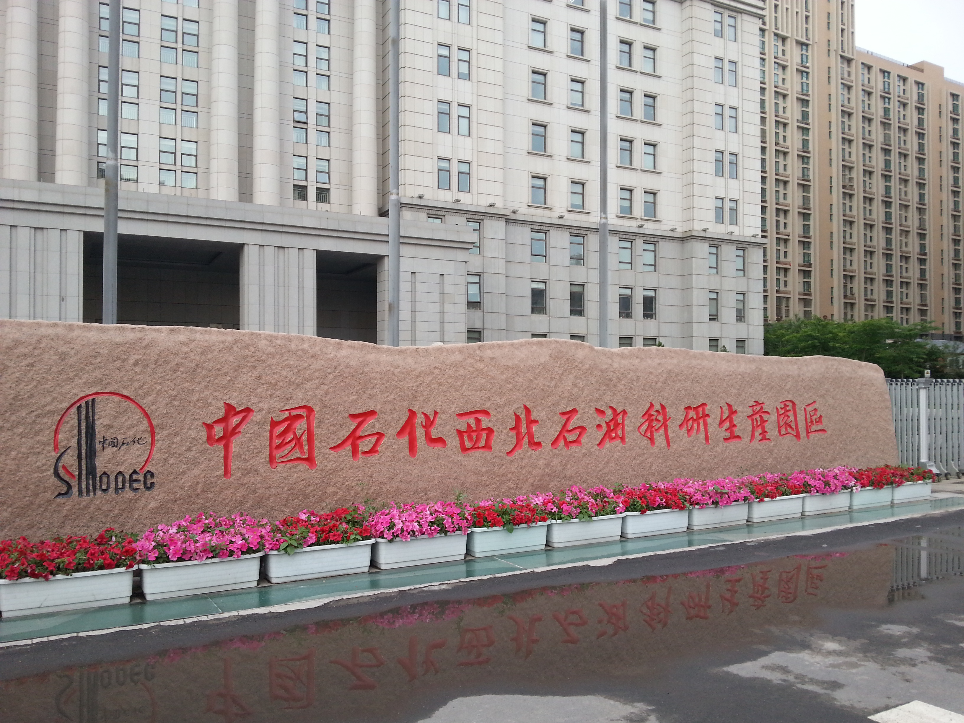朱纲老师成功为中石化新疆实施MTP管理培训