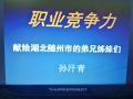 职业竞争力