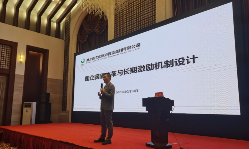 《国企薪酬改革与长期激励机制设计》