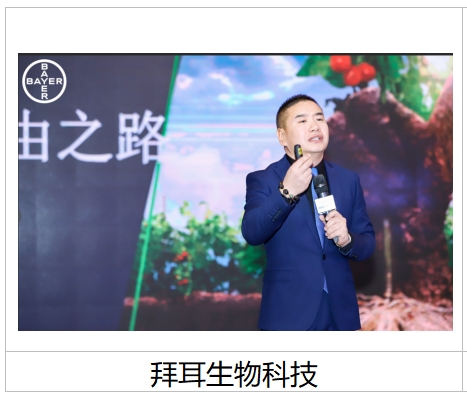 精彩瞬间