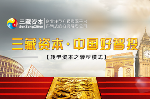 臧其超老师-转型升级商业模式