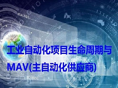 项目生命周期及MAV主供应商