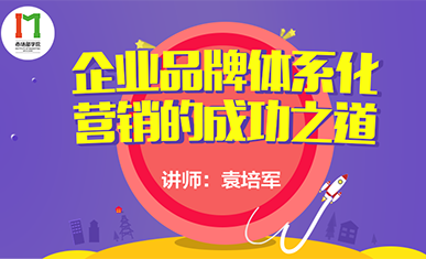 企业品牌体系化营销的成功之道