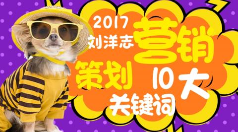实战营销刘洋志：2017年营销策划的10大关键词