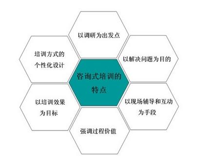 朱广力心理《咨询式培训与个体辅导示范》