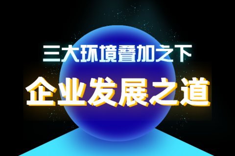 三大环境叠加之下,企业发展之道