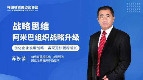 苏长荣老师： 战略思维——阿米巴组织战略升级