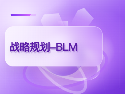 华为战略规划-BLM